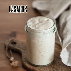 Lasarus - 40g Gedehidreerde Sourdough Starter